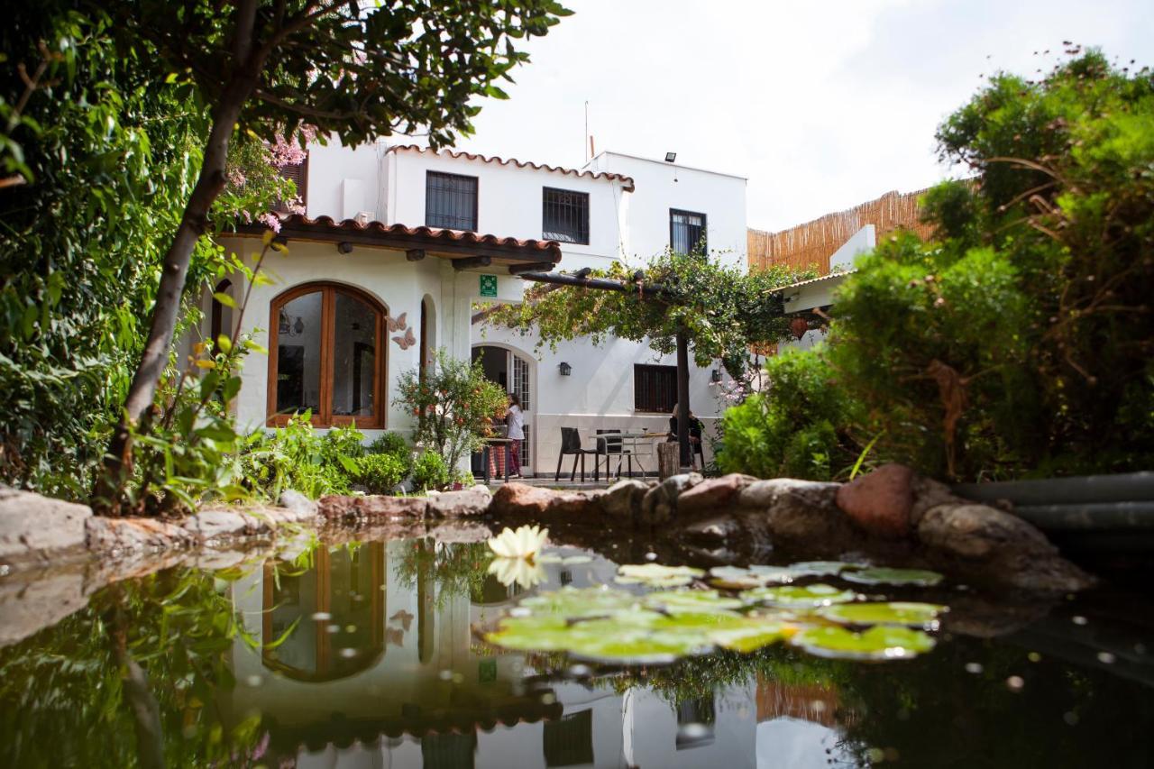 Posada De Rosas Mendoza Kültér fotó